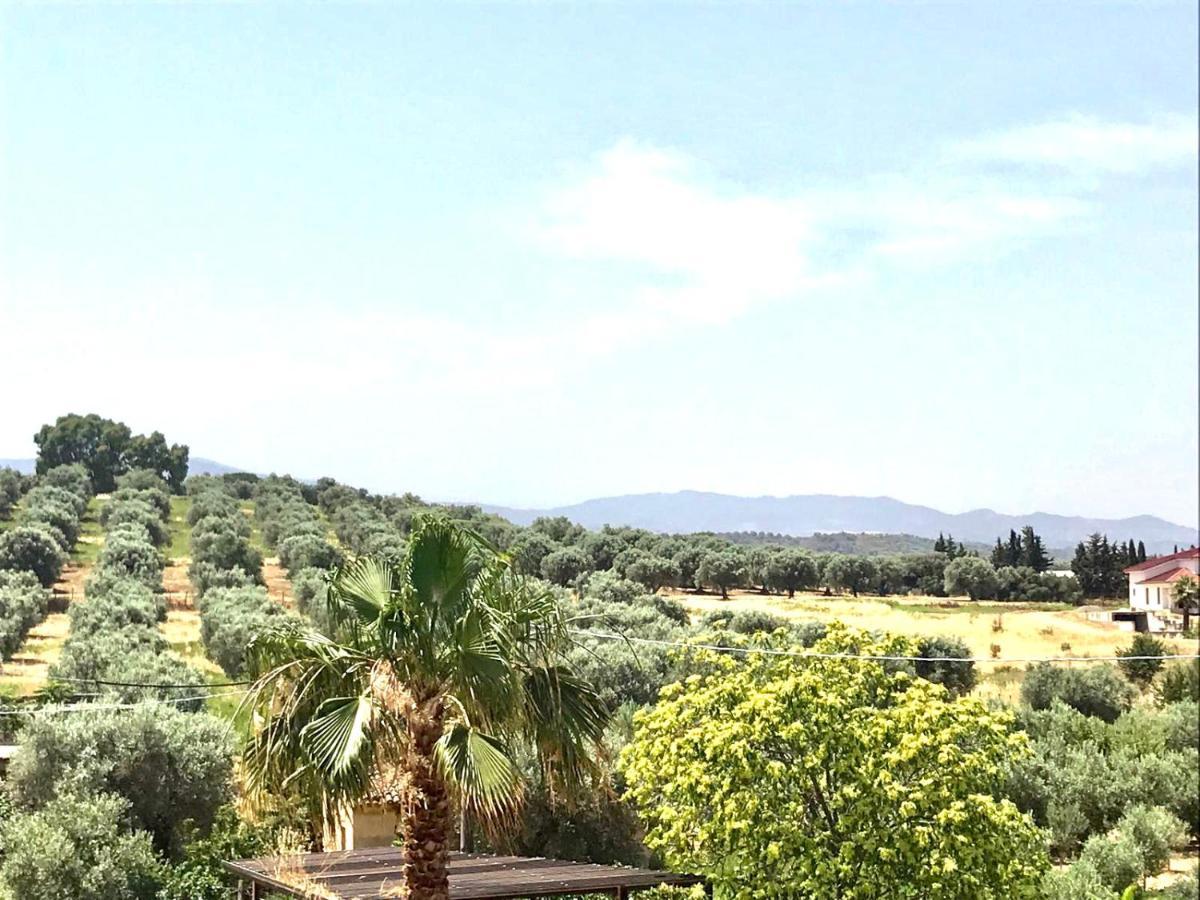 Casa Vacanze E Fitta Camere San Nico Corigliano Calabro Eksteriør billede